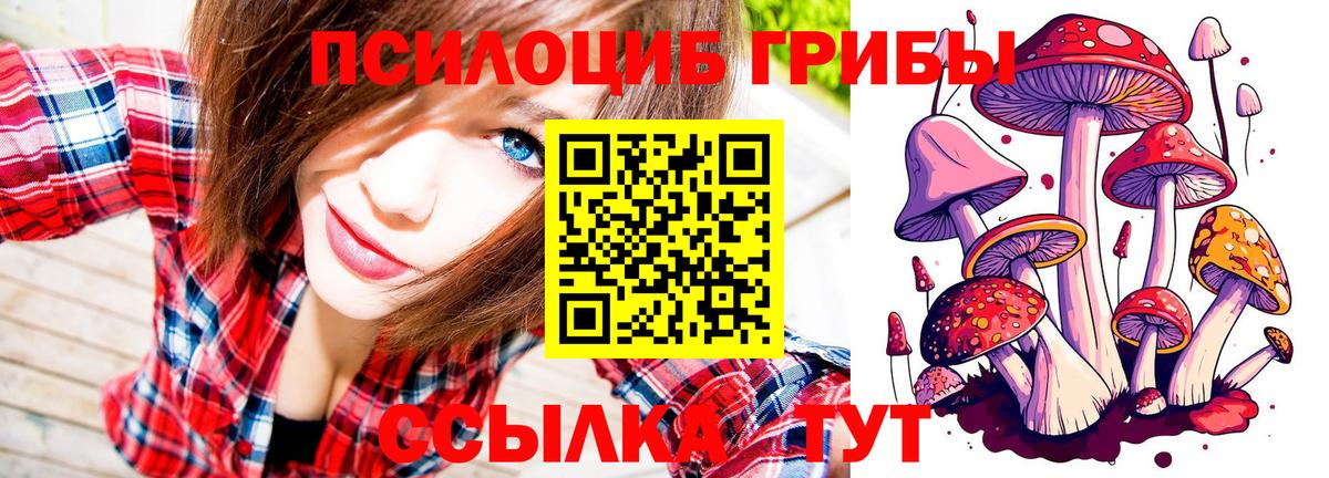 Чистополь  Галлюциногенные грибы MAGIC MUSHROOMS  Вход с VPN 