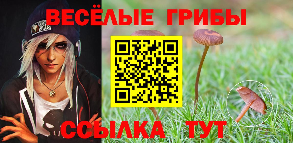 Галлюциногенные грибы Psilocybine cubensis Чистополь